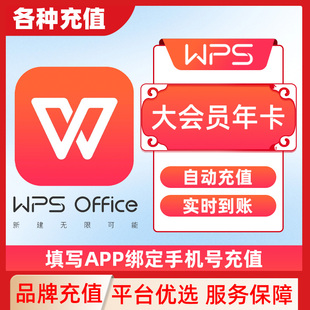 wps超级会员大会员周月年卡pdf转word转换编辑AI写公式简历文档C