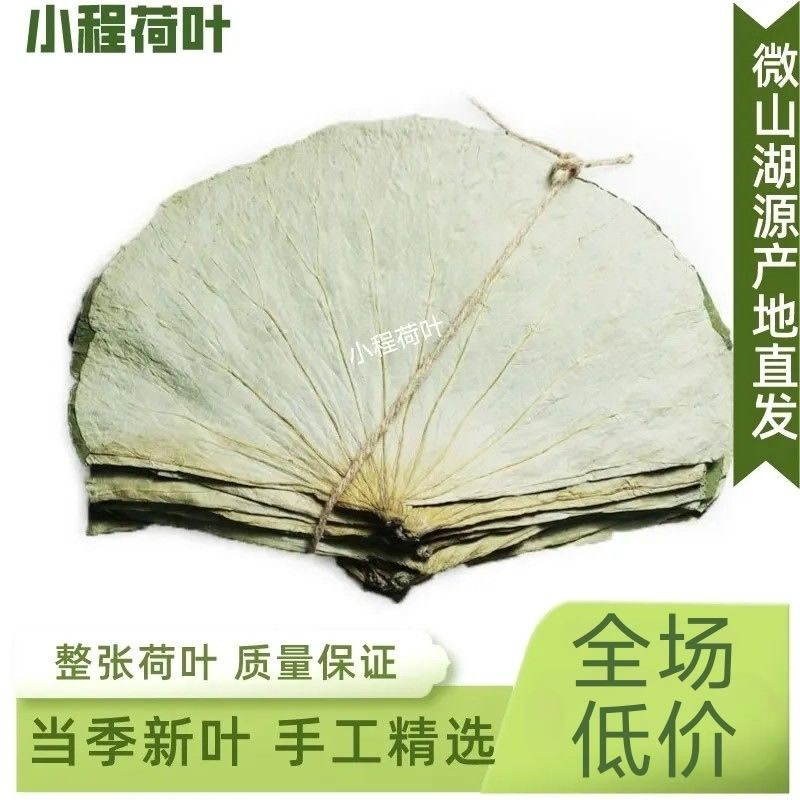 荷叶整张荷叶荷叶茶荷叶片干荷叶糯米鸡荷叶鸡荷叶饭荷叶整张批发