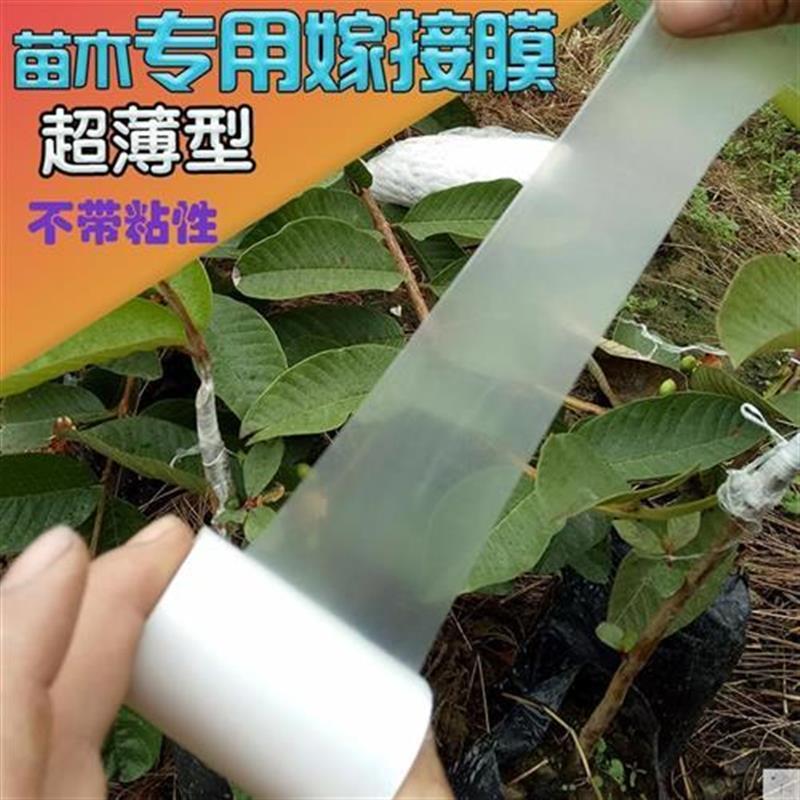 热销糯米纸嫁接膜接树嫁接膜树木树枝果树胶带透明保护专用膜家用