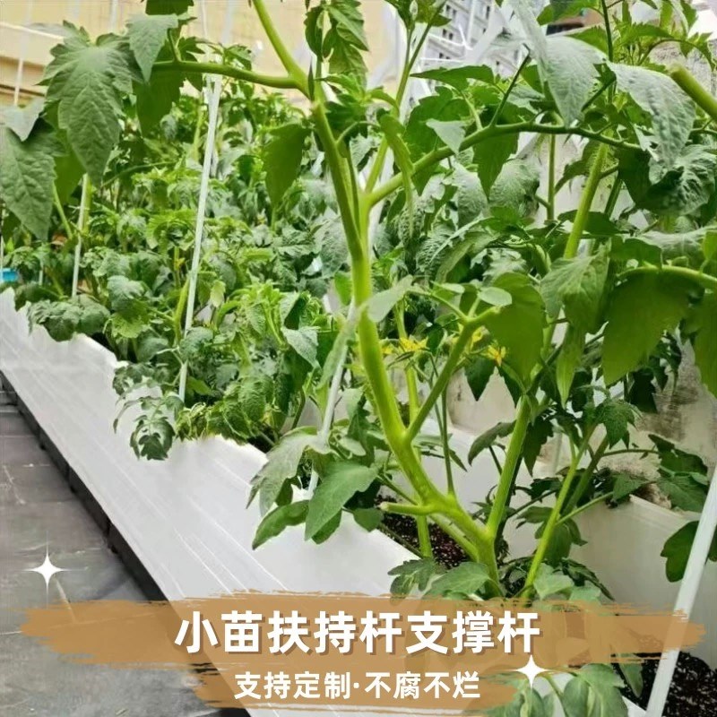 热销玻璃纤维豆角架蔬菜竹竿塑料固定爬藤支架扶苗育苗葡萄番茄搭