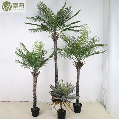 仿真绿植针葵大型室舌RNL高内客厅端装饰落地仿生龙兰树兰丝树针