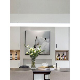 le公d光长条办公灯圆形现代简约健身房创意办吊JFC灯工作室室日灯