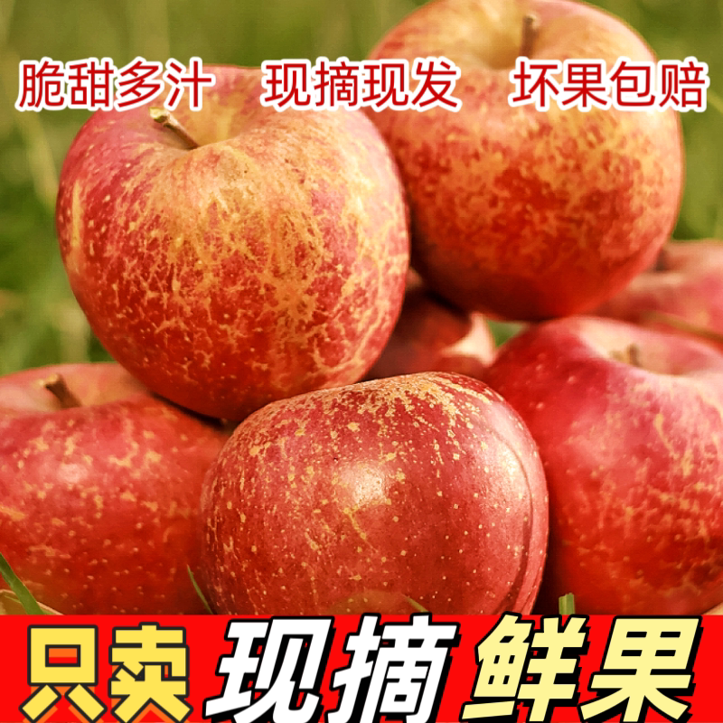 云南昭通丑苹果冰糖心红富士当季现摘时令新鲜水果脆甜多汁整箱