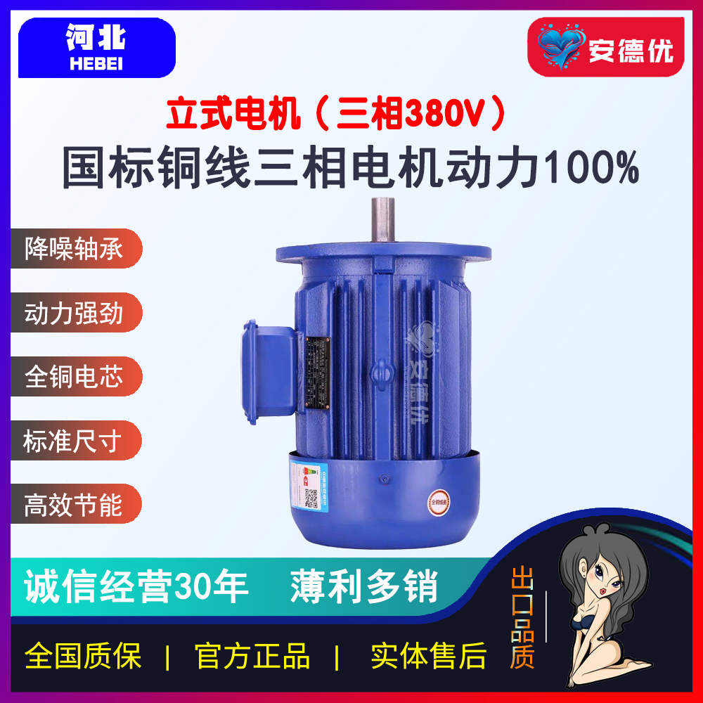 【安德优】河北富申立式三相异步电机全铜国标电动机380VB5级马达