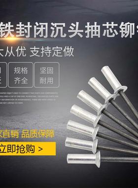铝封闭型抽芯拉铆钉埋头3.24.8拉钉GB12616防水钉密封式沉头抽钉