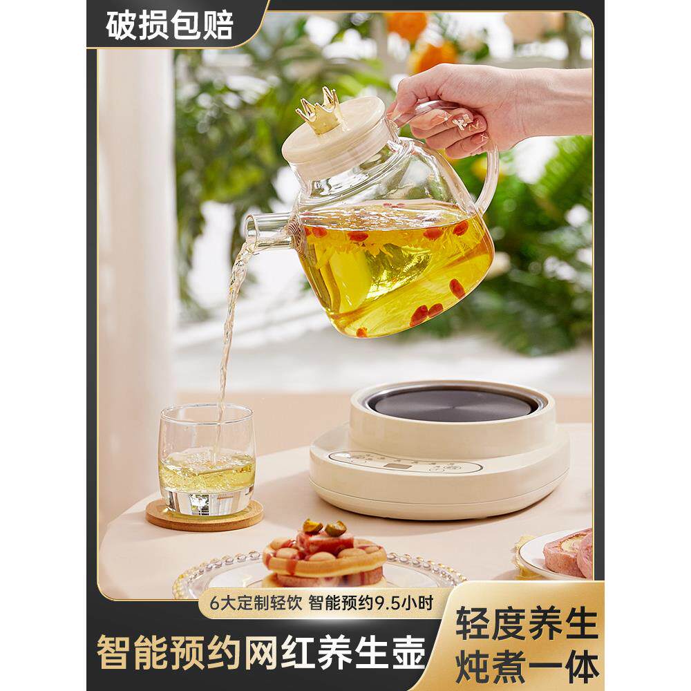 小型电陶炉煮茶器小茶炉迷你烧水壶玻璃壶煮花茶养生壶家用多功能