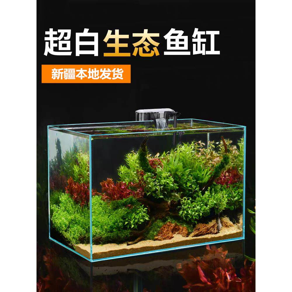 只发新疆水族超白玻璃鱼缸桌面客厅生态超清缸造景懒人养鱼水草缸