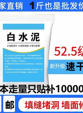 国标525白水泥家用防水防霉瓷砖填缝堵洞补墙地漏速干白色水泥胶