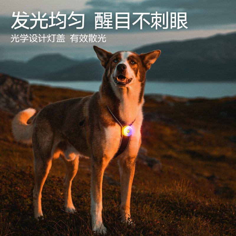 MEWOOFUN狗狗夜行灯小狗夜间防走失遛狗灯夜灯宠物夜行灯发光吊坠