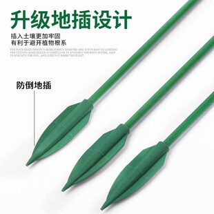 园艺支撑杆文竹专用花架固定器蝴蝶兰花支架植物固定架植物防倒伏