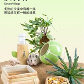 仓鼠躲避屋陶瓷窝金丝熊刺猬花枝鼠睡窝夏天降温小冰屋房四季 通用