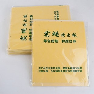 双面果蝇针蜂粘粘虫板板瓜实蝇粘胶板诱粘板果蝇引诱剂桔小实蝇性