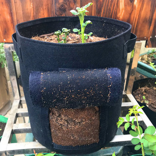 花生红薯芋头种植袋 出口土豆种植盆 家庭阳台种菜箱控根蔬菜花盆