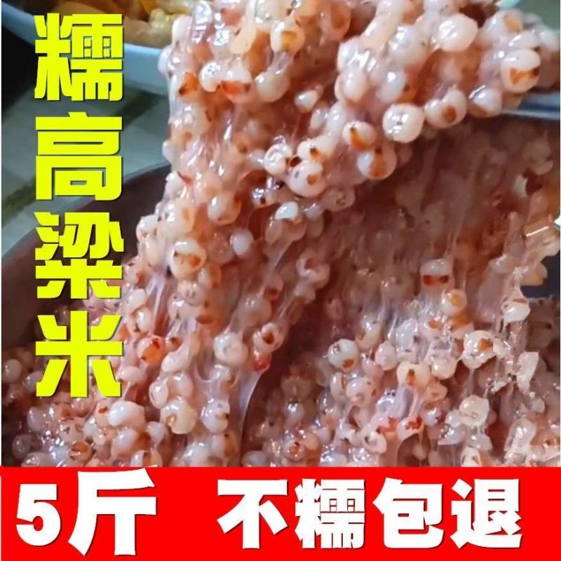 东北黏糯高粱米粘高粱米农家新鲜糯米去皮包粽子年糕汤圆糍粑专用