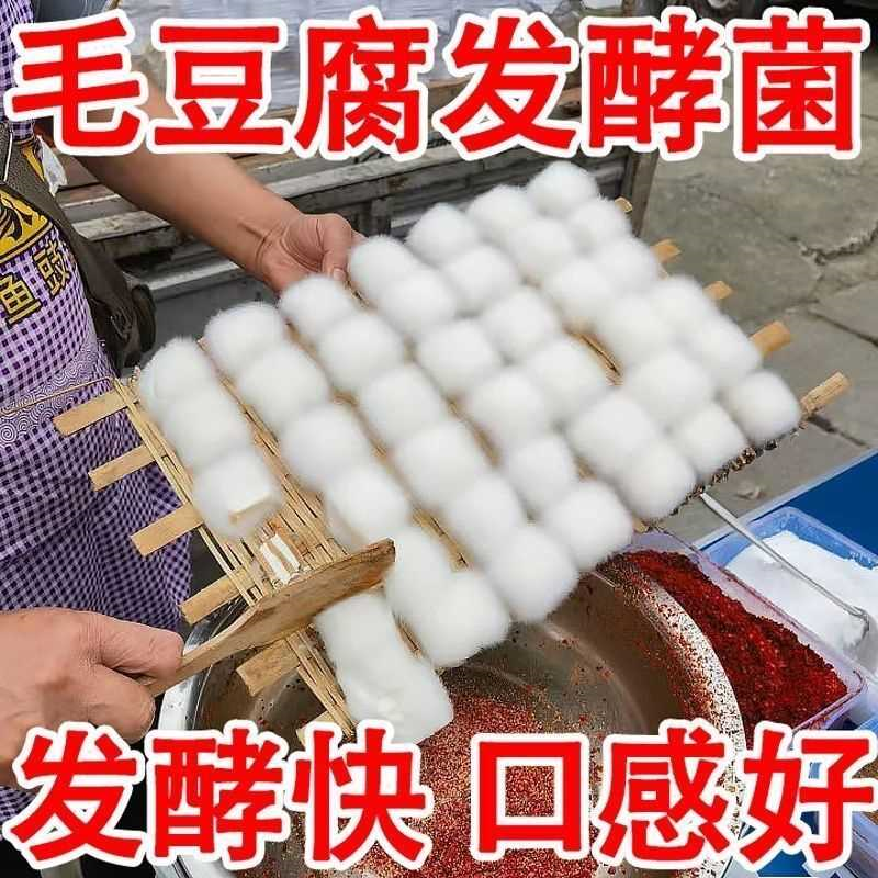 腐乳曲发酵菌霉豆腐曲菌粉毛霉菌发酵菌粉家用自制豆腐乳发酵曲粉