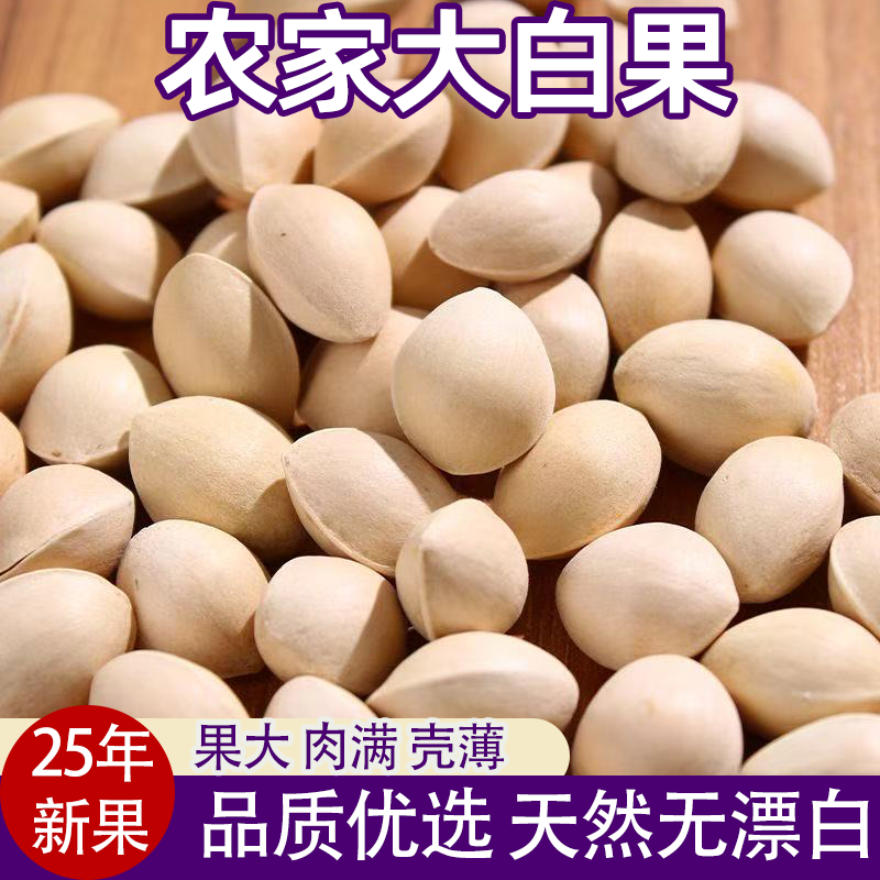 25年新果农家银杏果当季生大白果带壳大果品质优选果大肉满壳薄