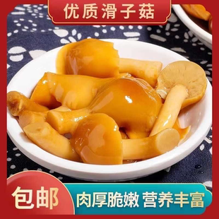 蘑菇新鲜滑子菇滑子蘑野生菌清水袋装草菇农家腌制凉拌非散装即食