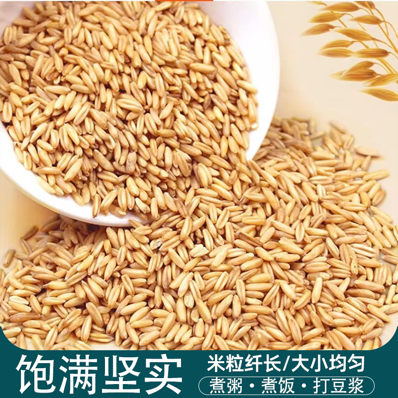 新鲜燕麦米健康粗粮营养丰富燕麦仁燕麦去壳老少皆宜含膳食纤维