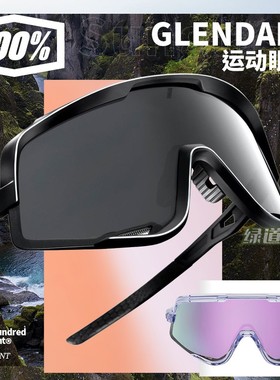 美国100%百分百Glendale运动眼镜复古摩托骑行眼镜风镜时尚