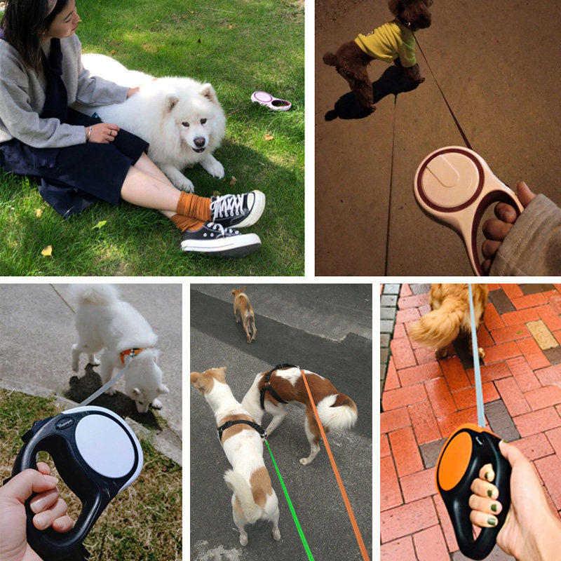 狗狗牵引绳自动伸缩狗链子遛狗绳幼犬小型中型犬泰迪柯基宠物用品