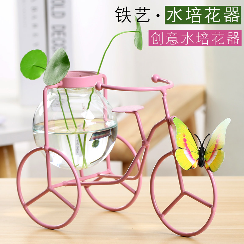 水培花瓶玻璃透明创意绿萝插花客厅摆件水养花插铁艺桌面装饰器皿