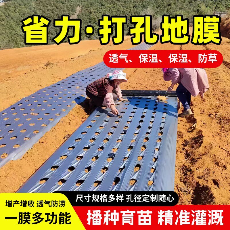 农用种植打孔地膜黑膜防草菜地玉米开孔带孔薄膜银黑地膜免打孔膜