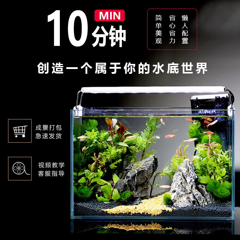 鱼缸客厅生态小型造景全套自循环系统观赏家庭电视柜旁一体免换水