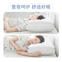 艾洛琳一對(duì)裝枕頭枕芯酒店護(hù)頸椎枕助睡眠家用單人學(xué)生宿舍整頭男