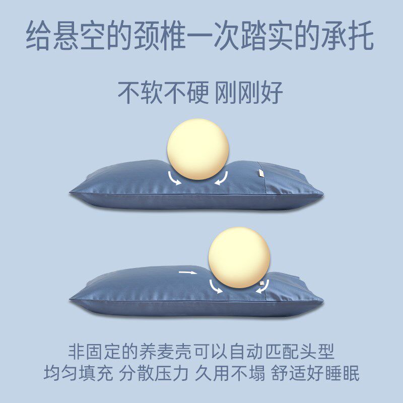 全荞麦枕头助睡眠成人学生儿童带枕套纯荞麦皮护颈椎枕芯男女通用