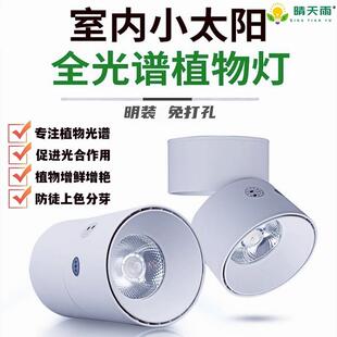 植物补光灯 家用全光谱LED彷太阳光照花卉室内光合作用生长射灯