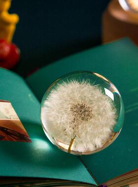 蒲公英水晶球摆件创意植物标本女孩生日礼物送闺蜜玻璃球桌面镇纸