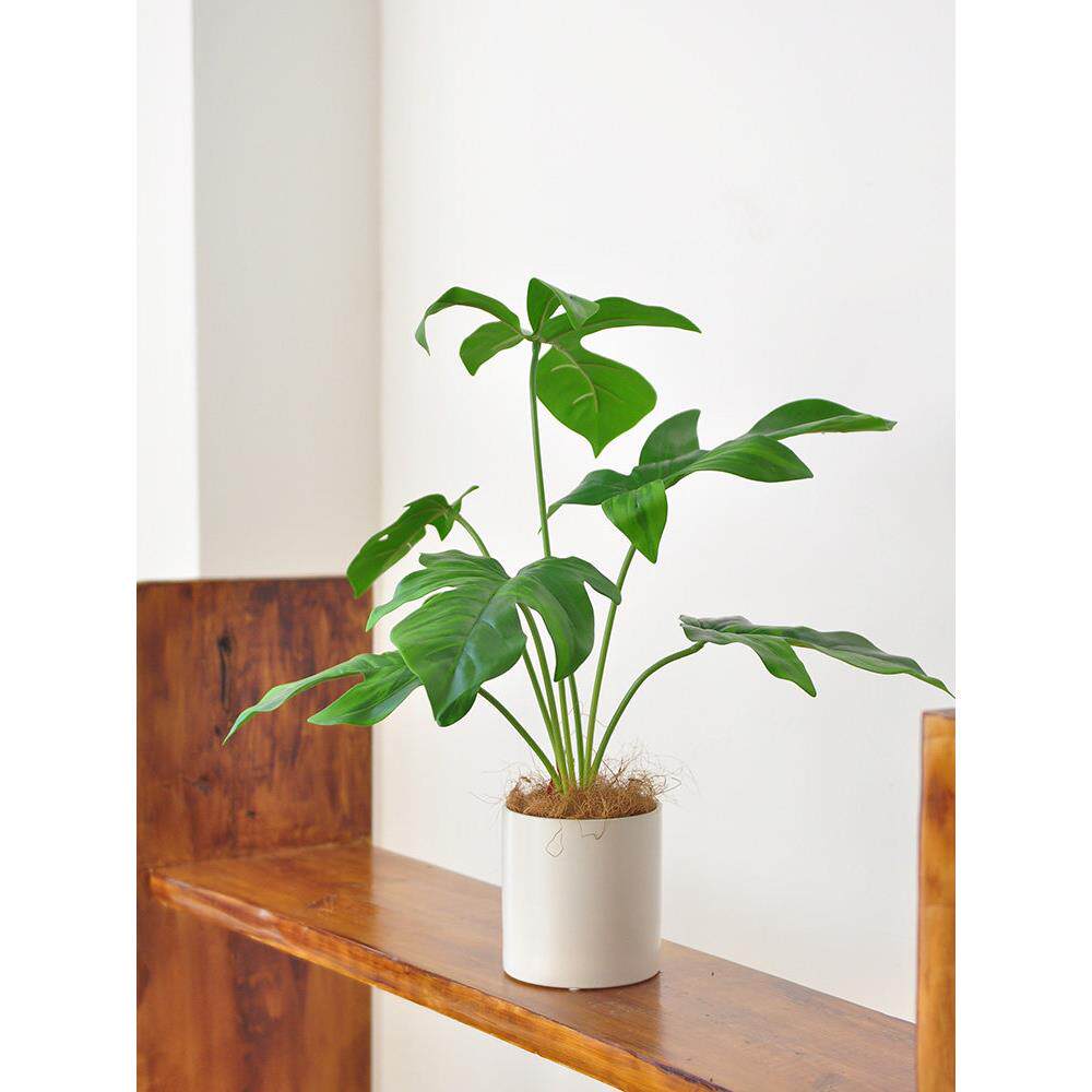 九四模拟绿色植物陶瓷盆栽彷生假龟叶蕨草盆景窗饰艺术275