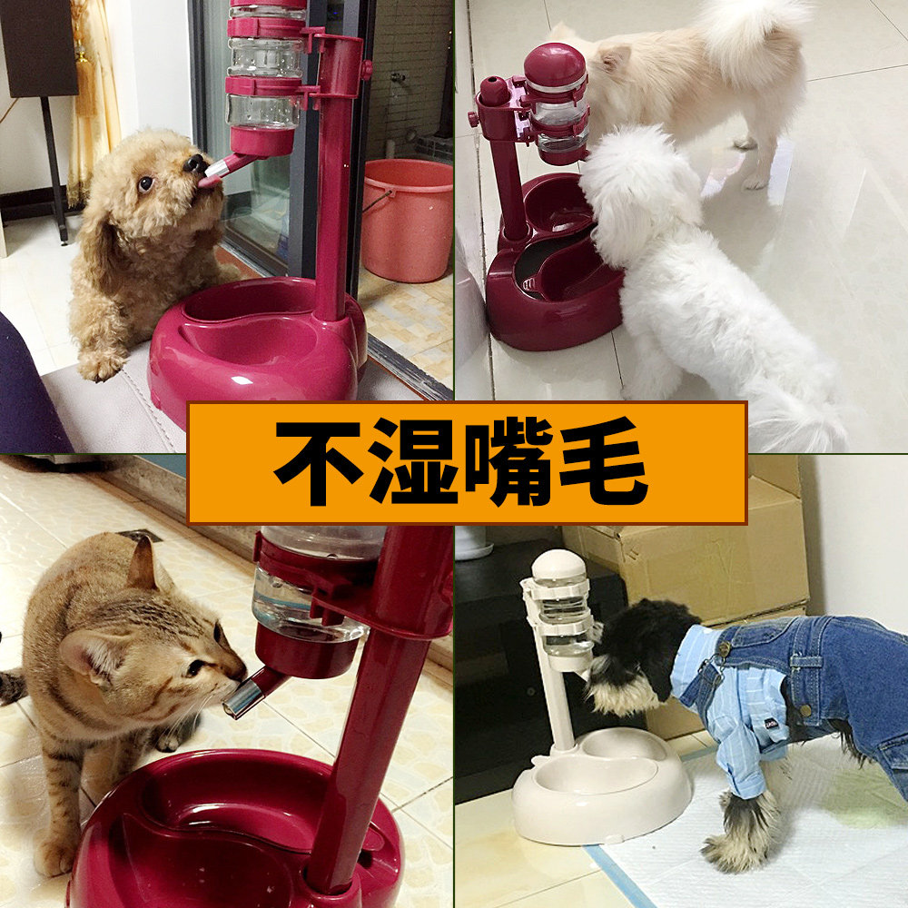 热销狗狗饮水机水壶狗喂水器宠物比熊悬挂挂式饮水不湿嘴立式喝水