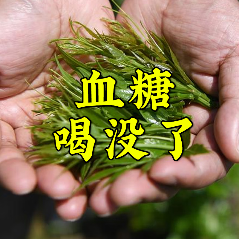 ������������ɣҶ˫�ϲ�10�� ɣҶ˫�ϲ�ٷ��콢����Ʒ˪��ɣҶ��ϸɶ���Ƥ�����ˮ�������