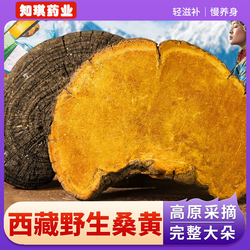 西藏高原野生桑树桑黄中药材500g克正宗西藏正品特级林芝菌种桑黄