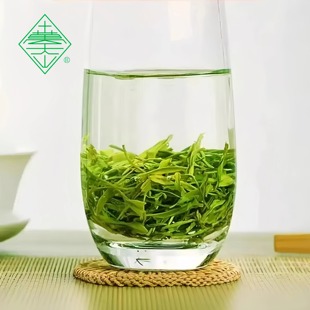 汉中绿茶陕西特产25年新茶清香型口粮茶正宗特级炒青200g袋装 包邮