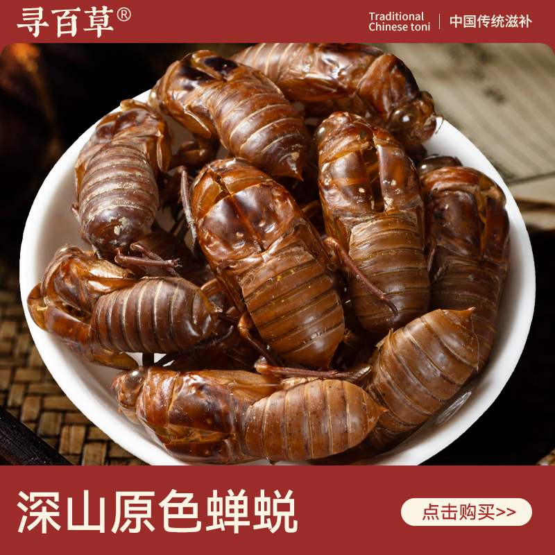 寻百草野生蝉蜕中药材150g正品新货黄蝉蜕金蝉衣蝉皮知了壳黑蝉蜕