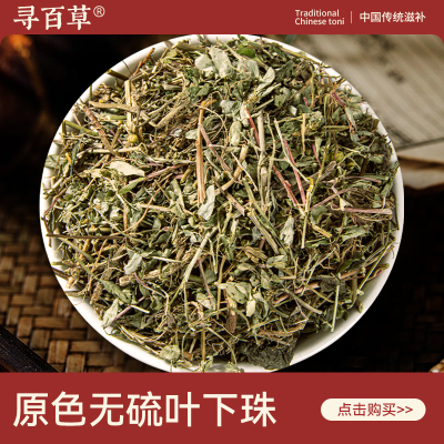 寻百草叶下珠中药材500g野生新货