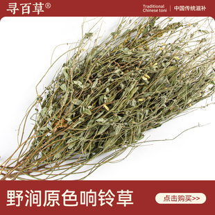 寻百草响铃草中药材500g野生新货无硫自然晒干精选正品整株马铃草