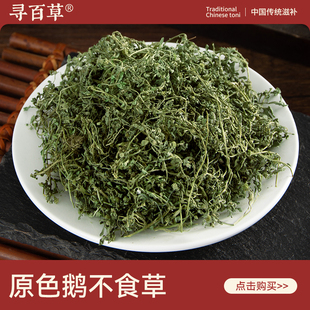 寻百草鹅不食草中药材500g正品无硫新鲜野生无杂质鹅不食草可粉末