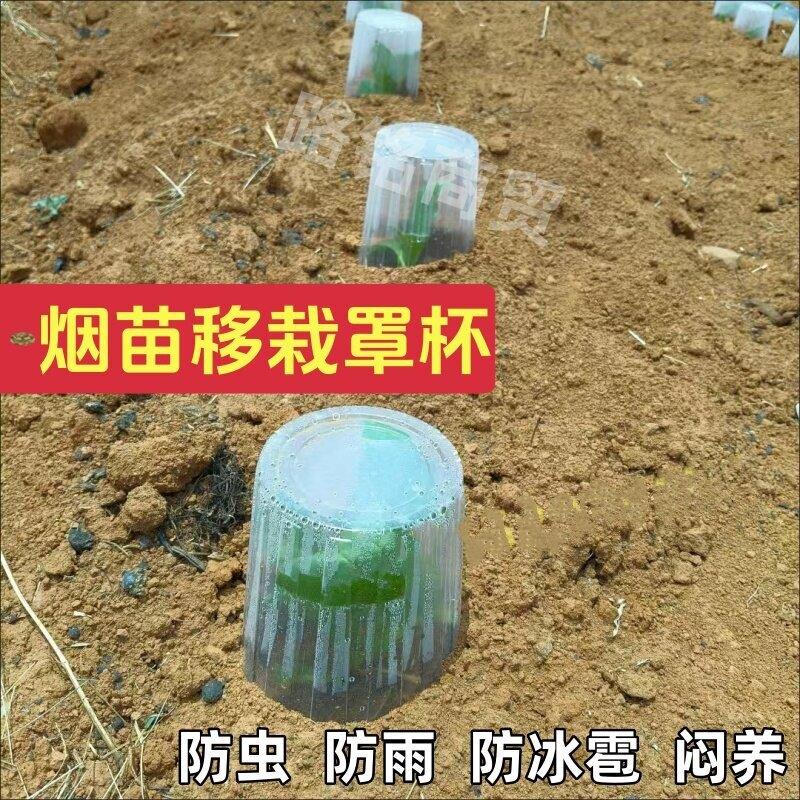 烤烟移栽器农民种植烟专用营养苗保温加厚透气排水扣碗盒塑料罩杯