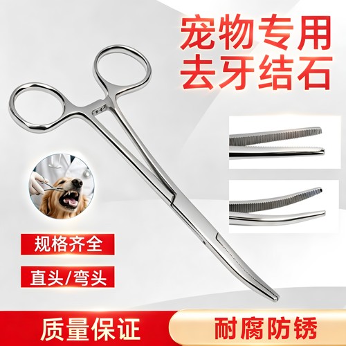 狗狗猫咪牙结石去除器口腔清洁器