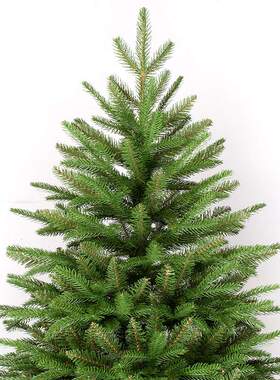 厂家直销户外加密装饰绿色仿真圣诞树240cmPVC商场节日装饰自动树