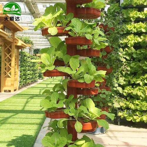 仿生螺旋设无土栽培模式培种001芽植苗菜水立体蔬菜种植架水培备