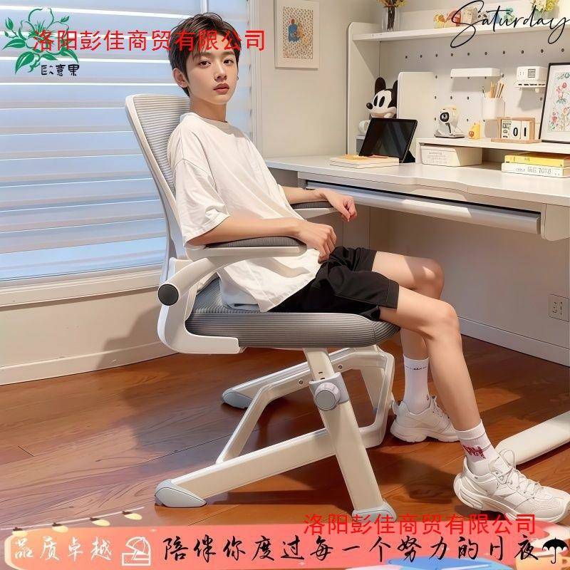 青年字高初中学生专用写桌椅书子升降AL005工学脑椅子儿童学习椅