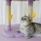 网红猫爬架小型猫窝猫树一体麻绳猫抓柱子猫跳台猫咪玩具宠物用品