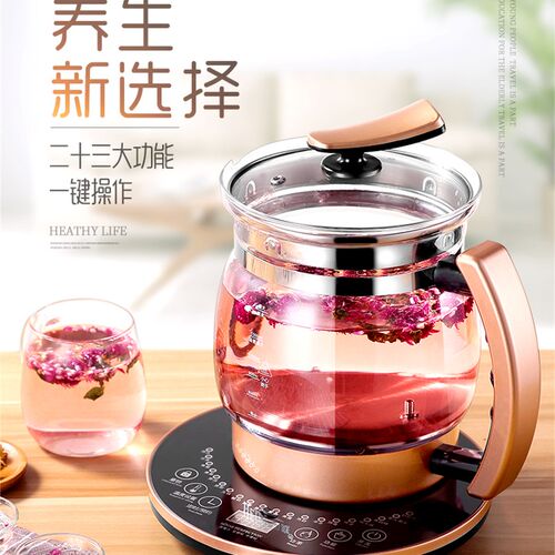和庭养生壶家用多功能蒸煮一体全自动加厚玻璃大容量2煎药燕窝3升