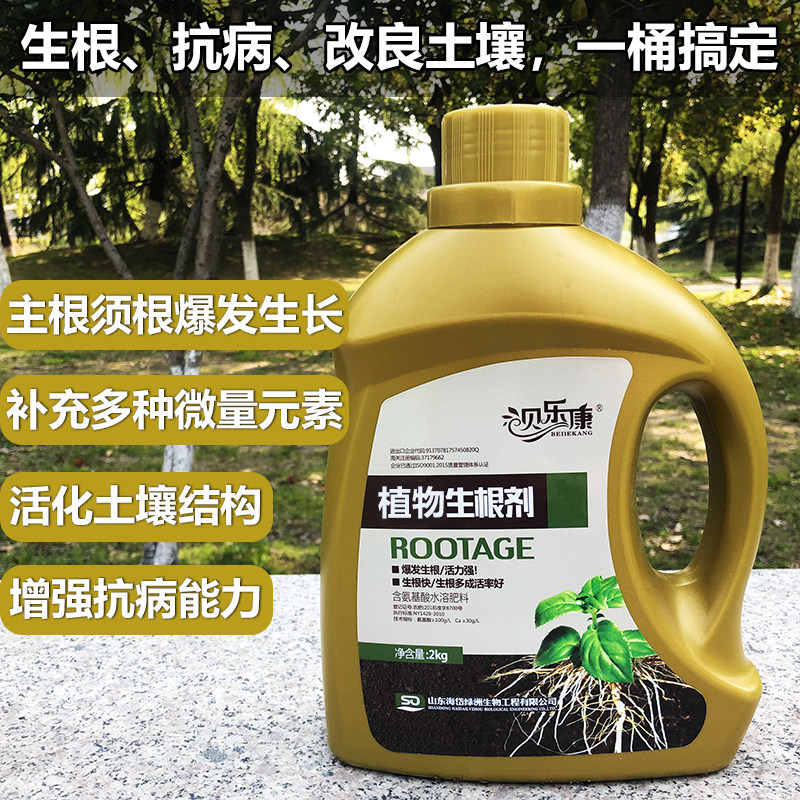 植物快速生根剂果树移植定根水苗木养护营养液树木移栽扦插生根液