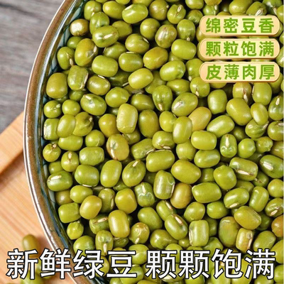 当季小绿豆好煮易烂清热解暑早餐搭档养生杂粮皮薄肉厚绵密豆香