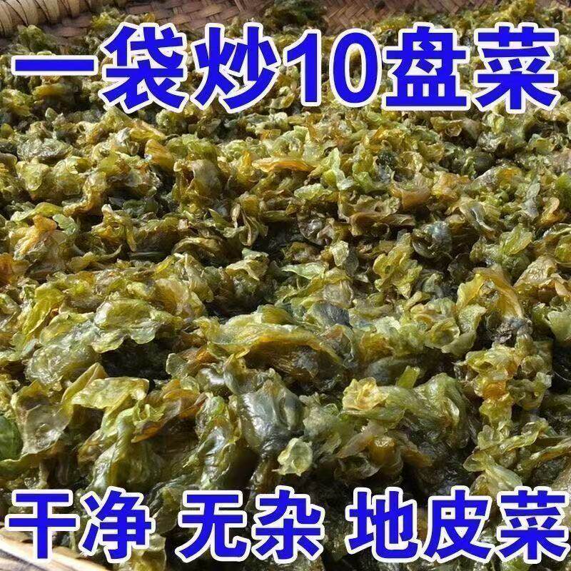 太便宜】地皮菜野生干货地皮特级营养新鲜野生地皮菜软地衣批发装